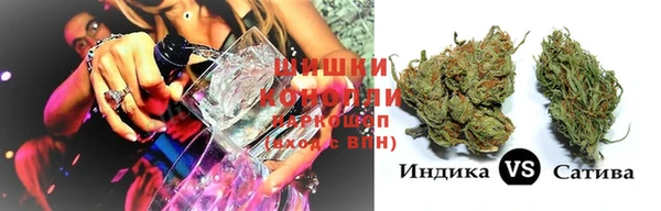 2c-b Бородино