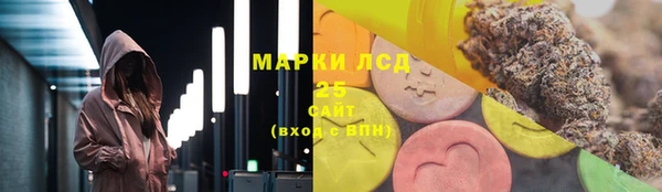 2c-b Бородино