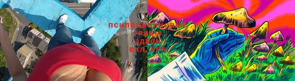2c-b Бородино